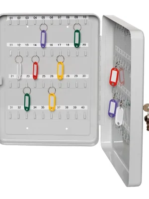 ALCO 859473 Schlüsselkassette, Stahlblech, für 30 Schlüssel, BxTxH 160x750x200 mm, Zylinderschloss, lichtgrau Wochenendangebot