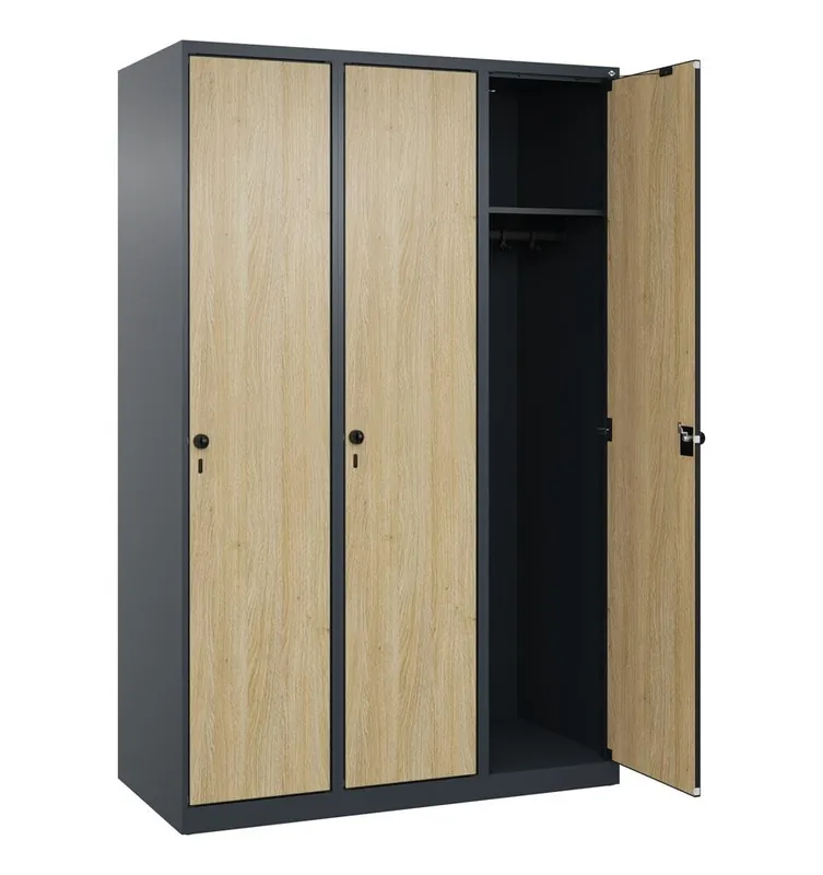 C+P 6479115 Garderobenschrank, bodenstehend, 3 Abt., Abt.B 400 mm, BxTxH 1200x500x1850 mm, MDF-Dekorfront, RAL 7016/Dekor Eiche-Sereno Aktuell
