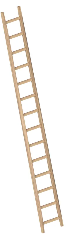 Layher 1036014 LE HOLZ-ANLEGELEITER BAU 14 SPROSSEN Finale Aktion