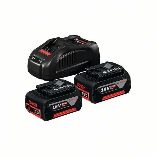 Bosch Akku Starter-Set: 2 x GBA 18 V online kaufen Highlight