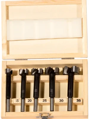 Fischer Forstnerbohrer D-WFo Set (5) | 1147715 Finale Aktion