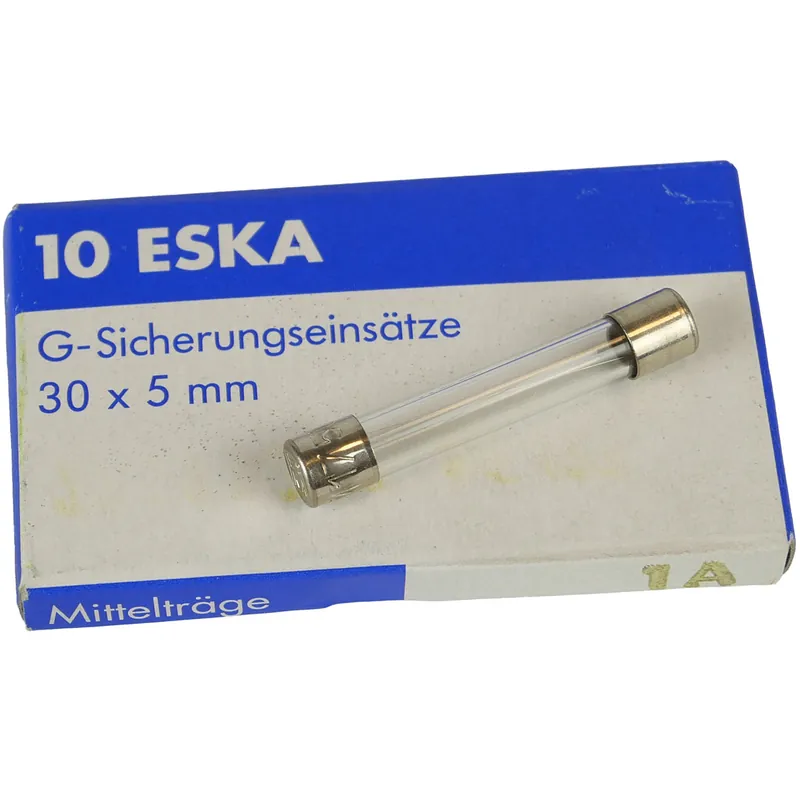 Eska Feinsicherung 30x5mm 1A mittelträge (10 Stück) Begrenztes Angebot